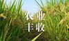 【视频】农业丰收收割视频 免费下载